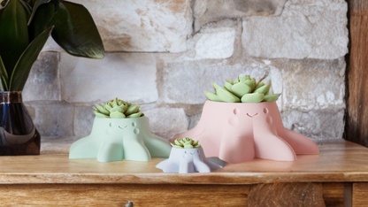 Octopus Planter – Unique Tentacle Succulent Pot (No Drain Holes)