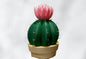 Desert Bloom Cactus Toothpick Holder – 3D Printed Desk Tabletop Kitchen Decor